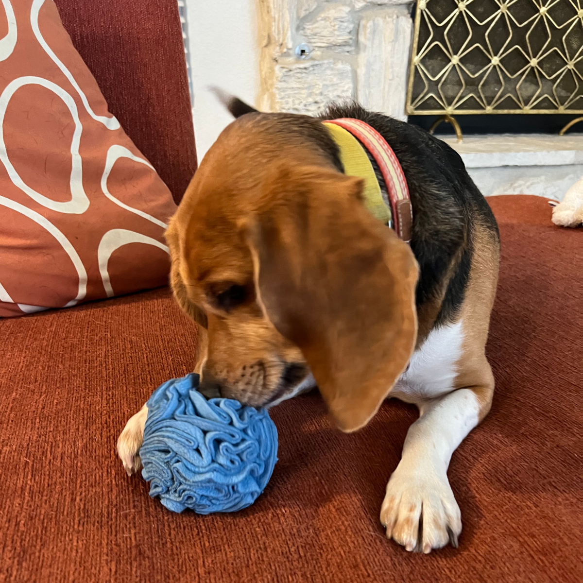 Snuffle Interactive Foraging Dog Puzzle Ball Toy for Puppy and Adult